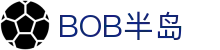 BOB半岛·(中国)官方网站-BOBSPORTS